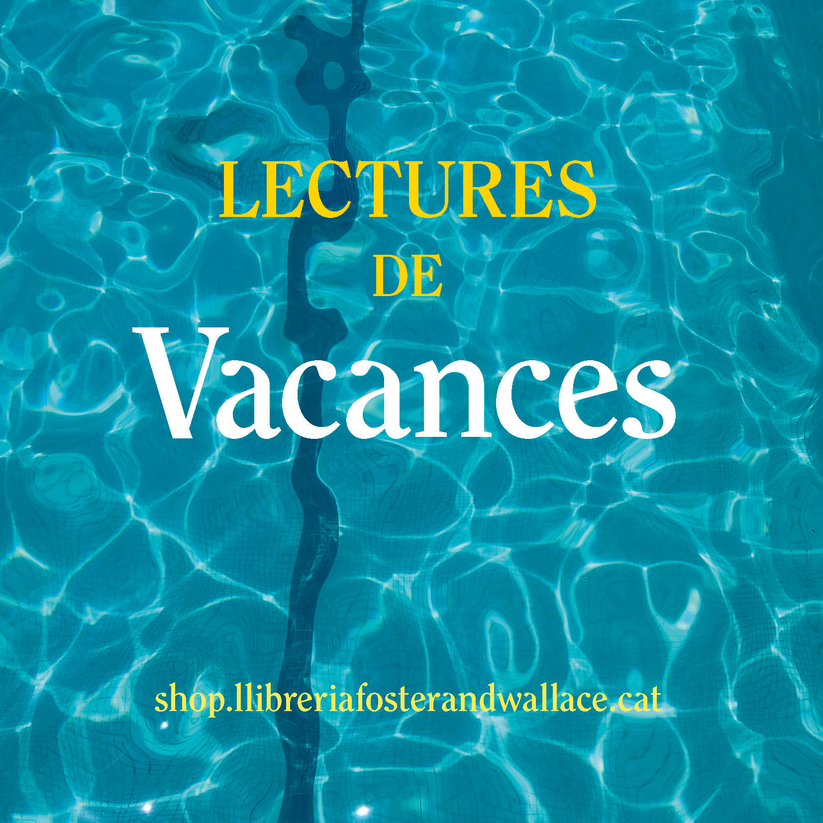Lectures de vacances llibreria Foster & Wallace